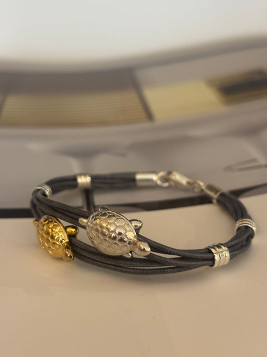 Pareja de tortugas de plata y plata dorada